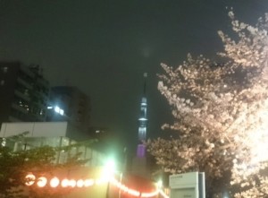 Sky Tree behind a sakura tree