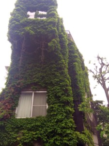 A building with a green wall