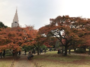 Red leaves at Shinjuku Gyoen