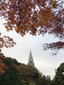 Autumn leaves at Shinjuku Gyoen