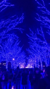 Blue Christmas lights